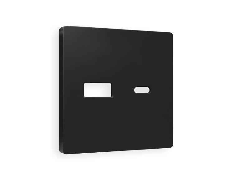 Ambrella Light Лицевая панель для розетки 2USB тип A+C QUANT Ambrella Volt ALFA AP8110