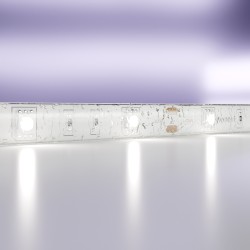 Maytoni Светодиодная лента 12В 5050 7,2Вт/м  6000K 5м IP65