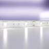 Maytoni Светодиодная лента 12В 5050 7,2Вт/м  6000K 5м IP65