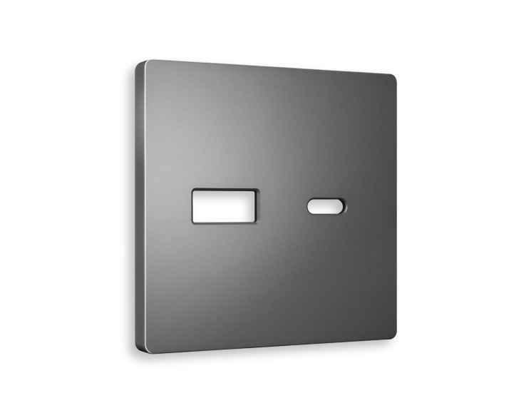 Ambrella Light Лицевая панель для розетки 2USB тип A+C QUANT Ambrella Volt ALFA AP6610
