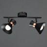 Спот Arte Lamp BALTIMORE