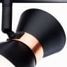 Спот Arte Lamp BALTIMORE