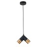 Indigo Подвесной светильник 11036/2P Black