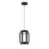 Indigo Подвесной светильник 14027/2P Black