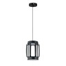 Indigo Подвесной светильник 14027/2P Black