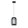 Indigo Подвесной светильник 14027/2P Black