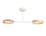 Ambrella Light Люстра потолочная TR TR8243