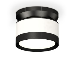 Ambrella Light Потолочный светильник XS8101050