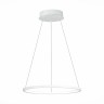 Подвесной светодиодный светильник ST Luce ST603.543.22