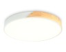 Ambrella Light Светильник потолочный Design FZ1300