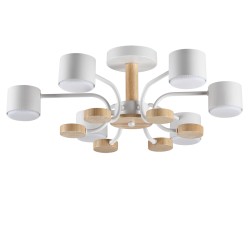 Светильник потолочный LUMION RONDO 8231/6C