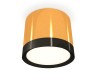 Ambrella Light Потолочный светильник XS8121001
