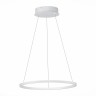 Подвесной светодиодный светильник ST Luce ST604.543.22