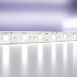 Maytoni Светодиодная лента 12В 5050 14,4Вт/м 6000K 5м IP65