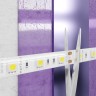Maytoni Светодиодная лента 12В 5050 14,4Вт/м 6000K 5м IP65