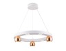 Ambrella Light Люстра подвесная светодиодная LineTech FL5959