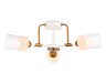 Ambrella Light Люстра потолочная Modern TR303321
