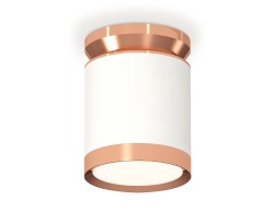 Ambrella Light Потолочный светильник XS8141035