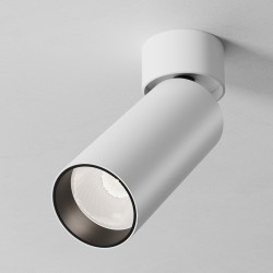 Maytoni Потолочный светильник C055CL-L12W4K-SS-W