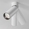 Maytoni Потолочный светильник C055CL-L12W4K-SS-W
