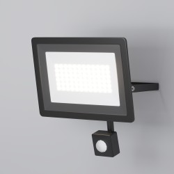 Maytoni Прожектор Flood 4000К 50Вт IP 65