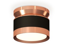 Ambrella Light Потолочный светильник XS8102065