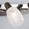 Настенный светильник со стеклянными плафонами                      Eurosvet  60301/2 хром / венге