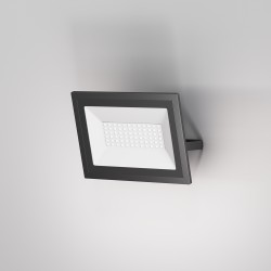 Maytoni Прожектор Flood 6500К 50Вт IP 65