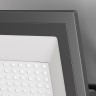 Maytoni Прожектор Flood 6500К 50Вт IP 65