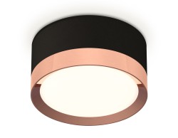 Ambrella Light Потолочный светильник XS8102005