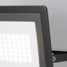 Maytoni Прожектор Flood 6500К 50Вт IP 65