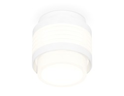 Ambrella Light Потолочный светильник XS8431001