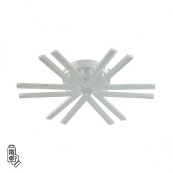 Потолочный светильник LUMION ALBERTA 8029/60CL