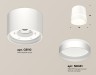 Ambrella Light Потолочный светильник XS8110006