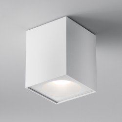 Maytoni Потолочный светильник Zoom GU10 1x10Вт IP 65
