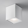 Maytoni Потолочный светильник Zoom GU10 1x10Вт IP 65