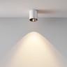 Maytoni Потолочный светильник Alfa LED 3000K 5Вт 50°