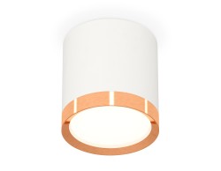 Ambrella Light Потолочный светильник XS8141005