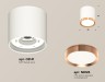 Ambrella Light Потолочный светильник XS8141005