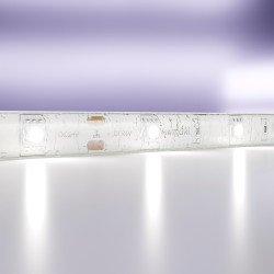 Maytoni Светодиодная лента 24В 5050 7,2Вт/м 6000K 5м IP65