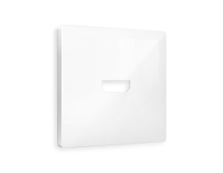 Ambrella Light Лицевая панель для HDMI розетки QUANT Ambrella Volt ALFA AP1140