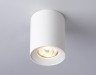 Ambrella Light Светильник потолочный Techno TN213136
