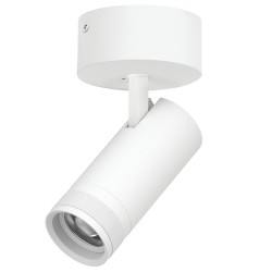 Light Star C4206SO CannoPro Светильник накладной 20W 1400LM 20-55G с адаптером