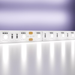 Maytoni Светодиодная лента 24В 5050 14,4Вт/м 6000K 5м IP20
