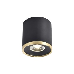 Favourite потолочный светильник 3086-2C