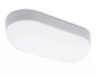 Ambrella Light Уличный светильник потолочный Street ST8662
