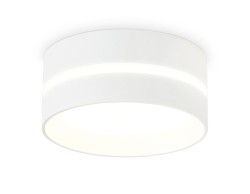 Ambrella Light Светильник потолочный TN5391