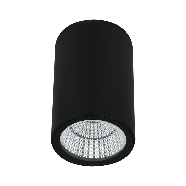 Уличный потолочный светильник Arte Lamp TORCULAR