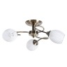 Потолочная люстра Arte Lamp ARYA