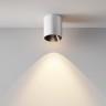 Maytoni Потолочный светильник Alfa LED 3000К 12Вт 60°